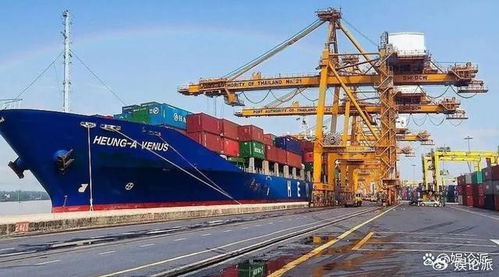 國(guó)內(nèi)十大國(guó)際貨運(yùn)代理公司概覽